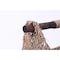Vintiquewise Seagrass Decorative Bathroom Basket Magazine Rack Organizer w/ Wooden Rod Toilet Paper Holder QI003417 - alternate 3